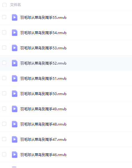 羽毛球从菜鸟到高手教学视频【全55集】