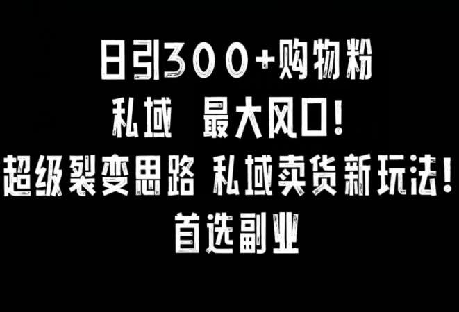 小红书日引300+购物粉私域卖货新玩法揭秘
